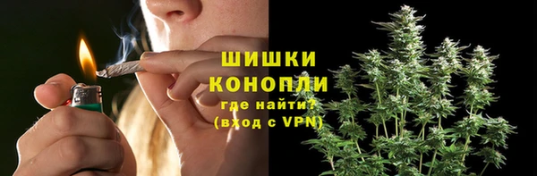 дурь Слюдянка