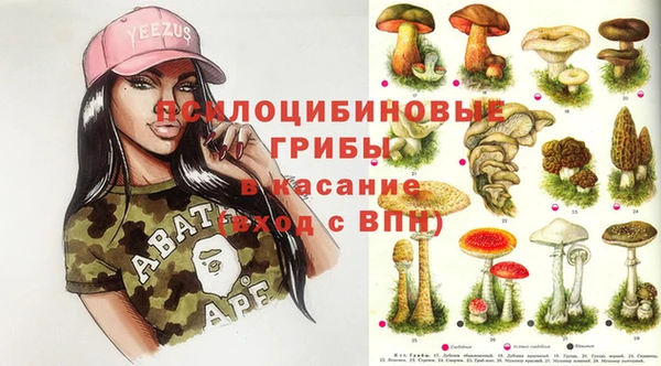 дурь Слюдянка