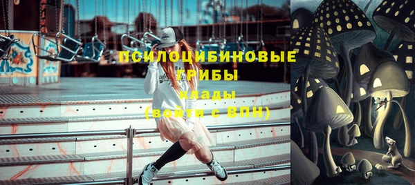 дурь Слюдянка